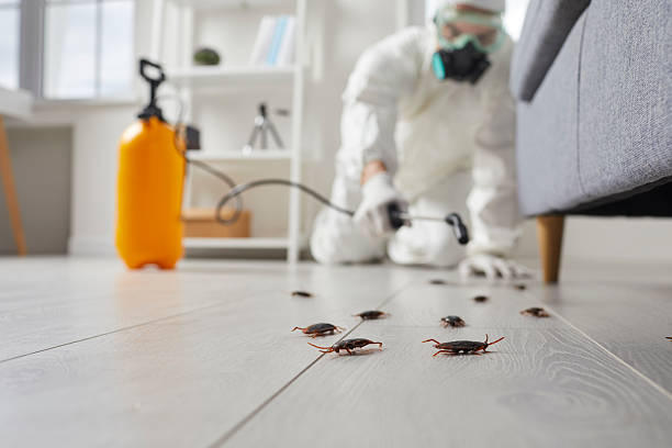 Commercial Kitchen Cockroach Control in Daphne